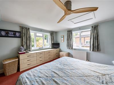 Picture 20